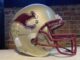 Kalamazoo Roos Austin College Football