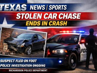 Richardson Stolen Vehicle Crashes