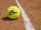 Sanger Softball Richland Region