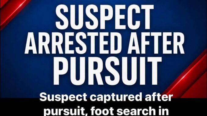 Suspect captured Bonham